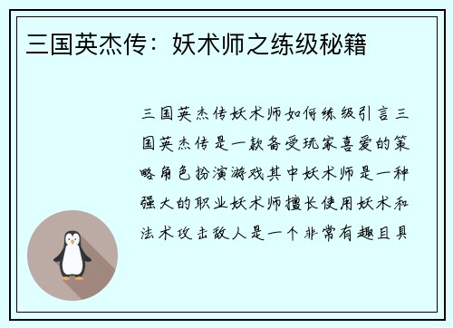 三国英杰传：妖术师之练级秘籍